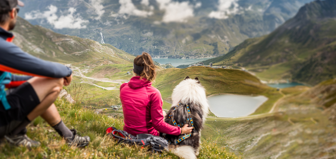 How to enjoy Tignes in summer with your dog