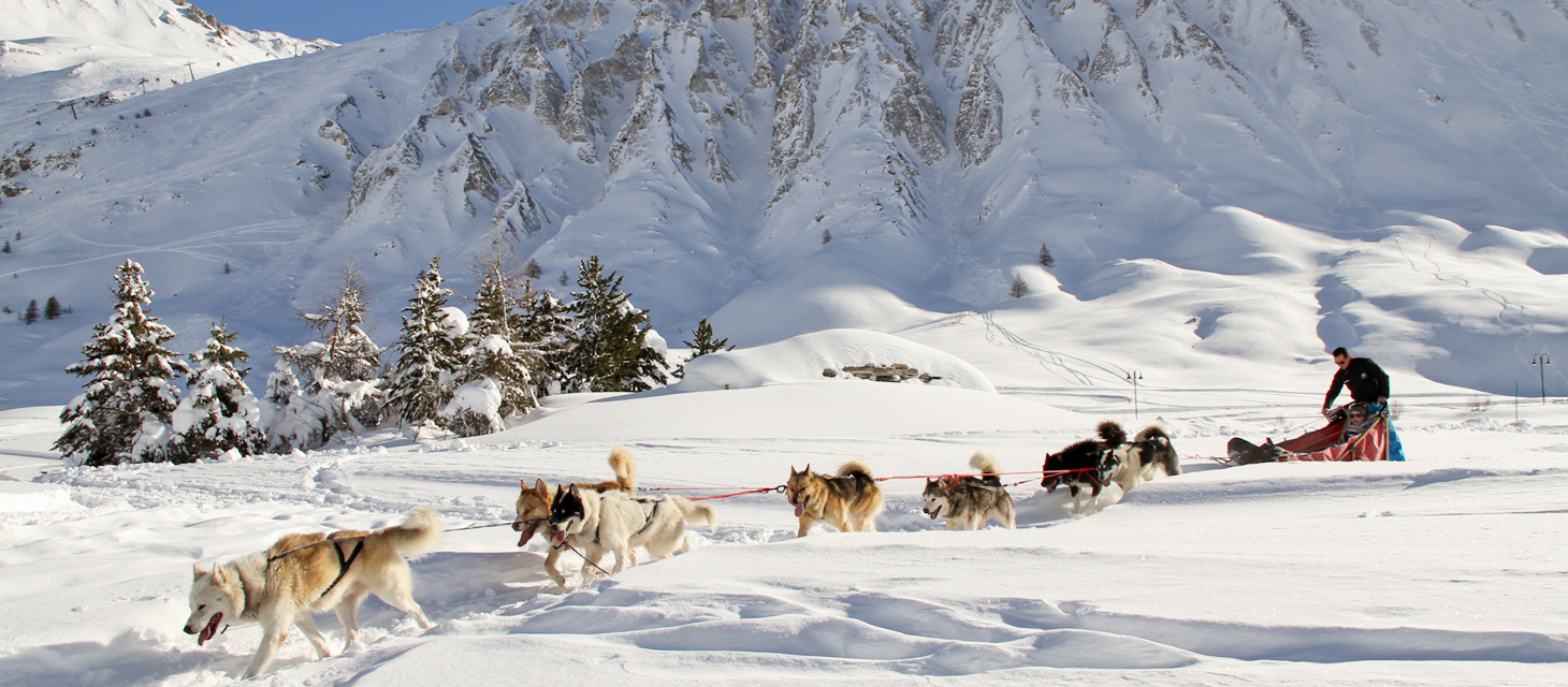 Dog sleigh Tignes : Winter dog activities, husky sledding in the french